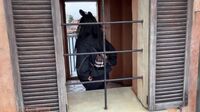Watch Elle Lee Asian Girl in Kimono Japan VLOG Big Cock blowing took i